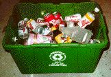 My green recycling bin